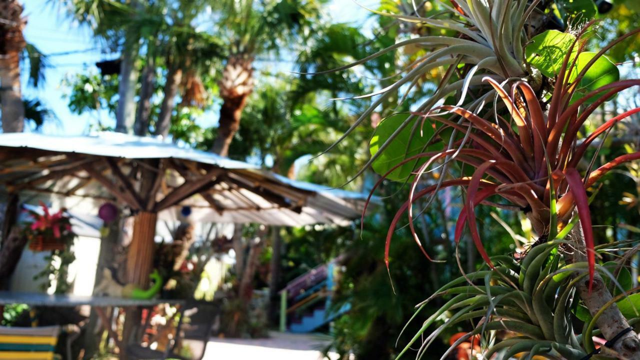 BeachPoint Cottages Siesta Key Exteriör bild